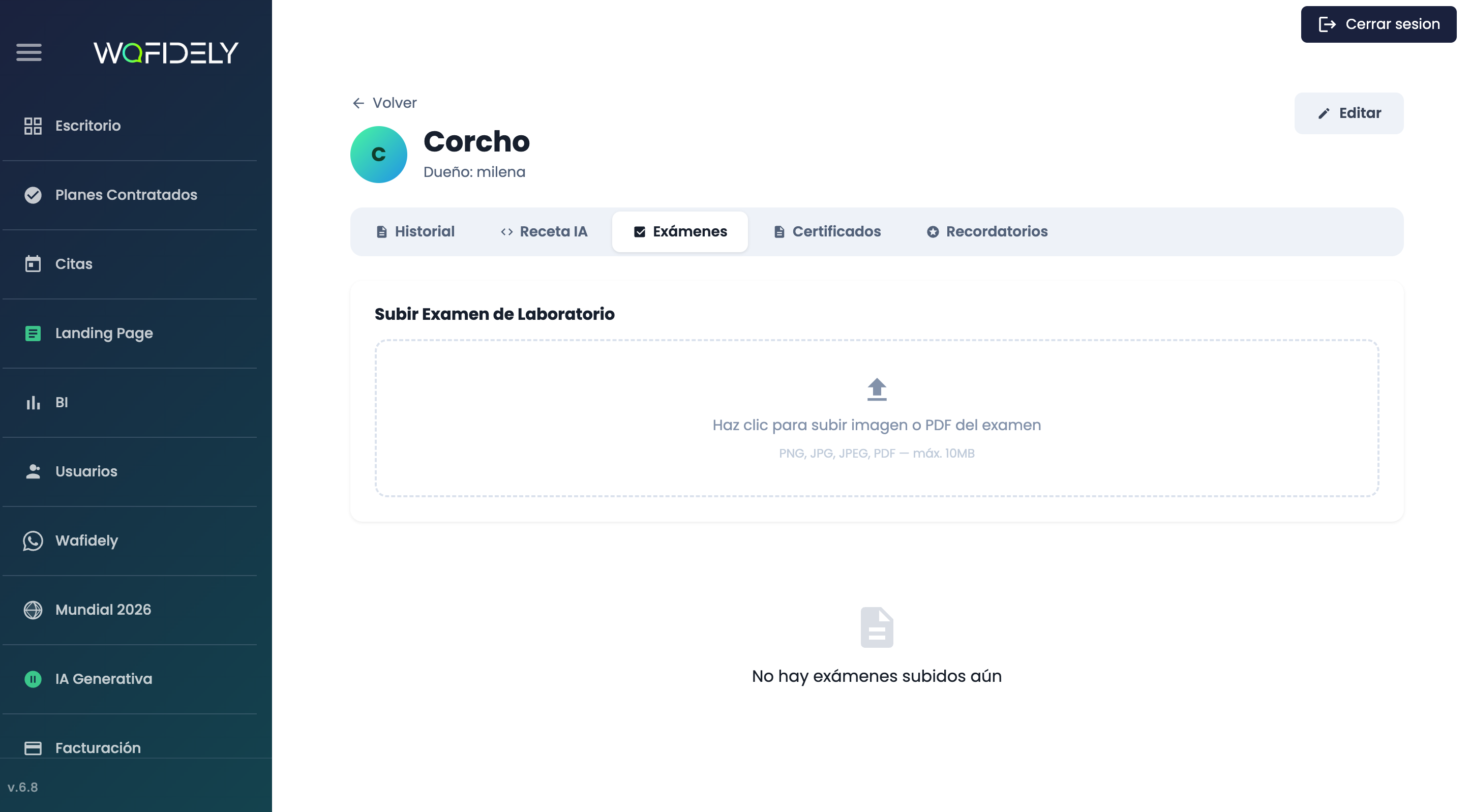 Análisis de Exámenes con IA